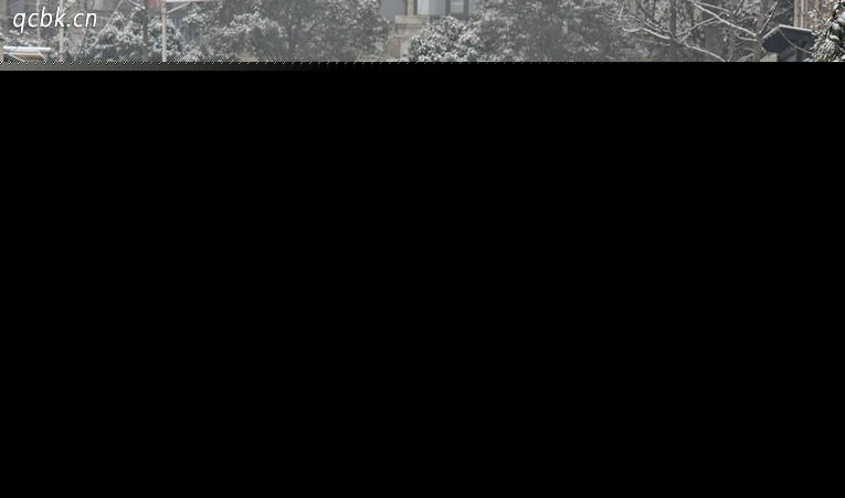 整車終身質保是什么意思