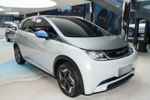 比亞迪海豚二手車價格 市場成交價9萬起(第一年保值率75%)