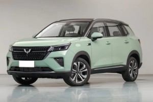 五菱星辰真實油耗多少 百公里油耗實測7.6L(油耗一公里7毛錢)