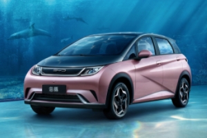 比亞迪海豚車型報(bào)價(jià) 比亞迪海豚新車售價(jià)10.28萬元(分期首付3.70萬元)