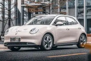 歐拉好貓分期首付多少錢 分期首付3萬(36期月供2611元)