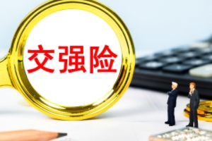 車輛必買的4個險 交強險、三者險、不計免賠、車損險屬于必買四項