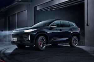 星途凌云油耗一公里多少錢 消耗7毛錢(保養影響油耗)