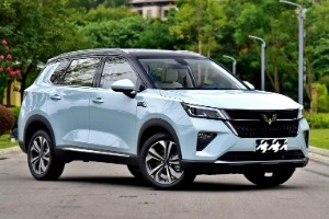 五菱星辰輪胎型號規格多少 尺寸為215/55 r17(胎寬215mm)