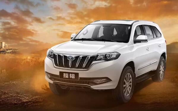 廣州市高新技術產業 福迪車系有哪些