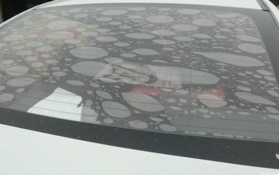 4s店送的膜一般多少錢,送的膜一般都很差