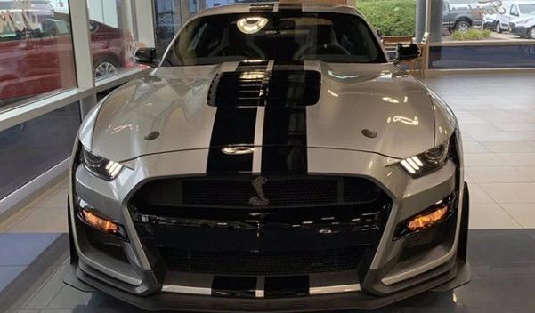 野馬眼鏡蛇多少錢，野性十足（超級跑車速度飛揚）