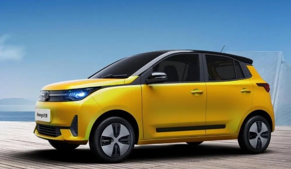 雷丁電動(dòng)汽車(chē)多少錢(qián)一輛 雷丁芒果僅售2萬(wàn)一臺(tái)