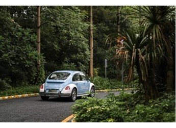 千萬(wàn)別讓你老婆看到芭蕾貓！我先試駕了 封面圖